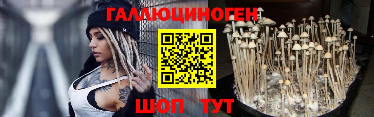 Галлюциногенные грибы прущие грибы Красногорск